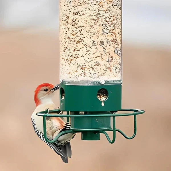 Bird Feeder Squirrel-Deterrent Spinning Perch 5 lb Capacity Weather-Resistant Metal