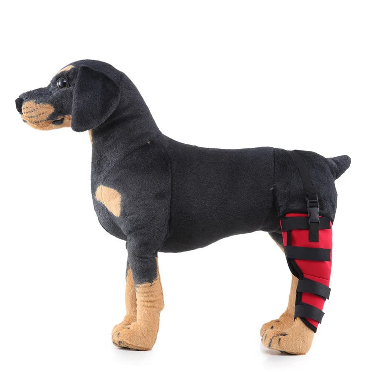 Dog Hind Leg Brace Stabilizing Support All-Season Wear