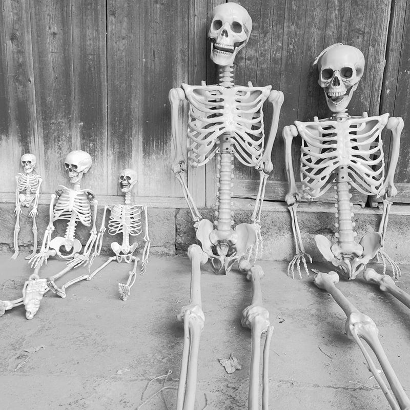Halloween Skeleton Decoration Posable Joints Movable Jaw