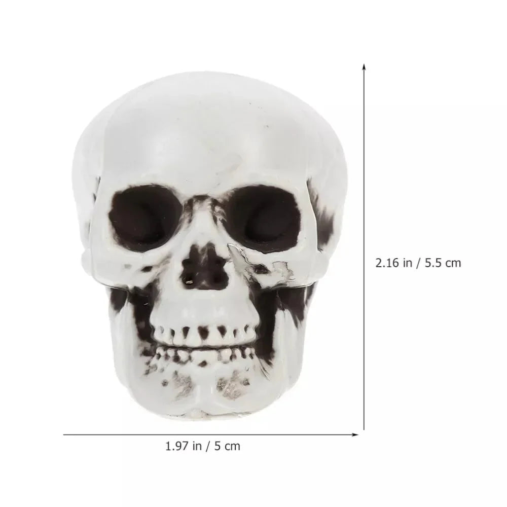 Halloween Skull Decorations Weather-Resistant Weathered Bone Finish