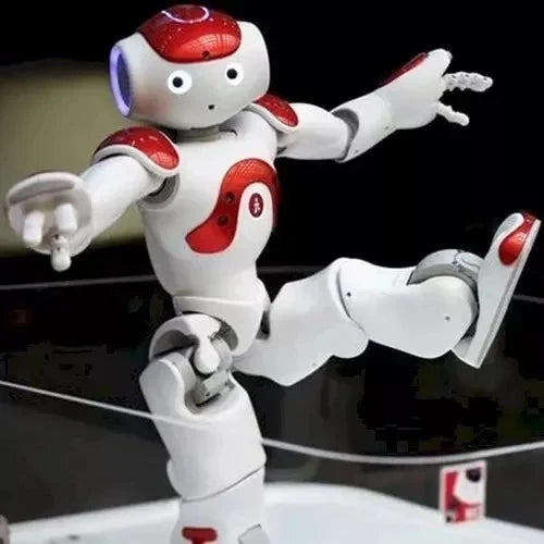 Humanoid Robot Lifelike Motion Dual Cameras Remote Control