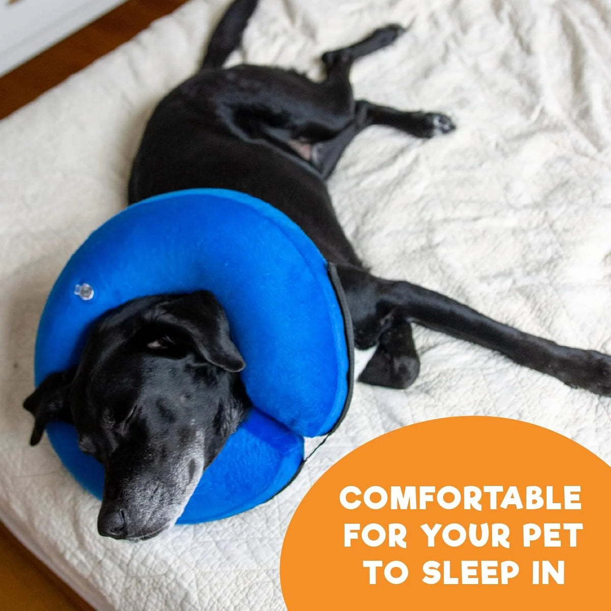 Inflatable Pet Recovery Collar Adjustable Air Valve