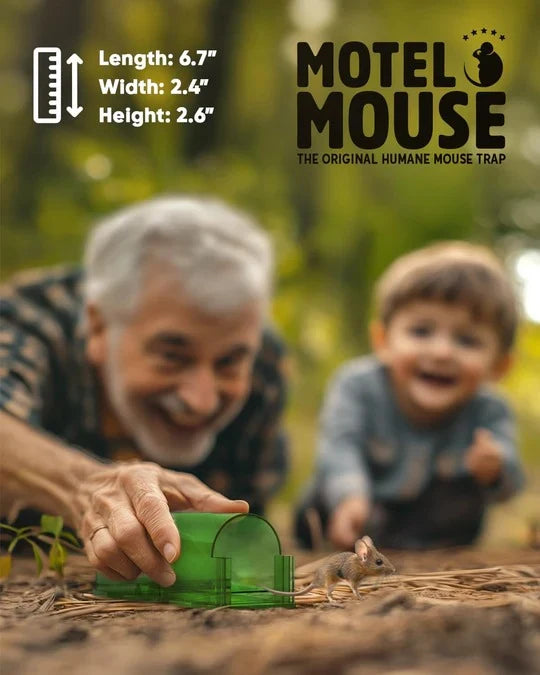 Mouse Trap Set Enclosed Live-Capture No-Touch Release 4-Piece