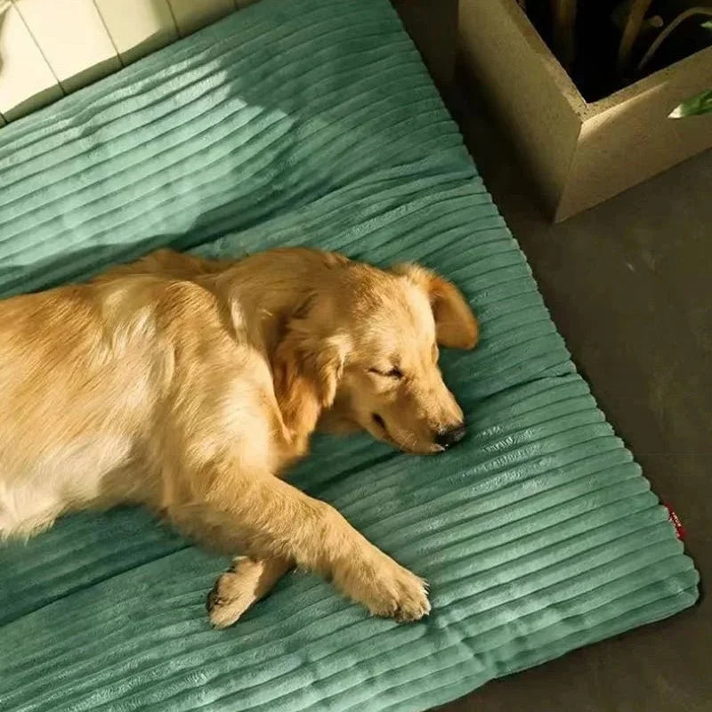 Orthopedic Dog Bed Fluffy Cover Joint Pressure Relief