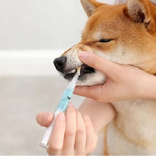 Pet Oral Care Solution Teeth Cleaning for Dogs & Cats