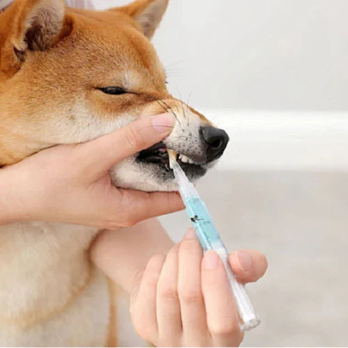 Pet Teeth Cleaning Formula Stain Removal & Gum Support