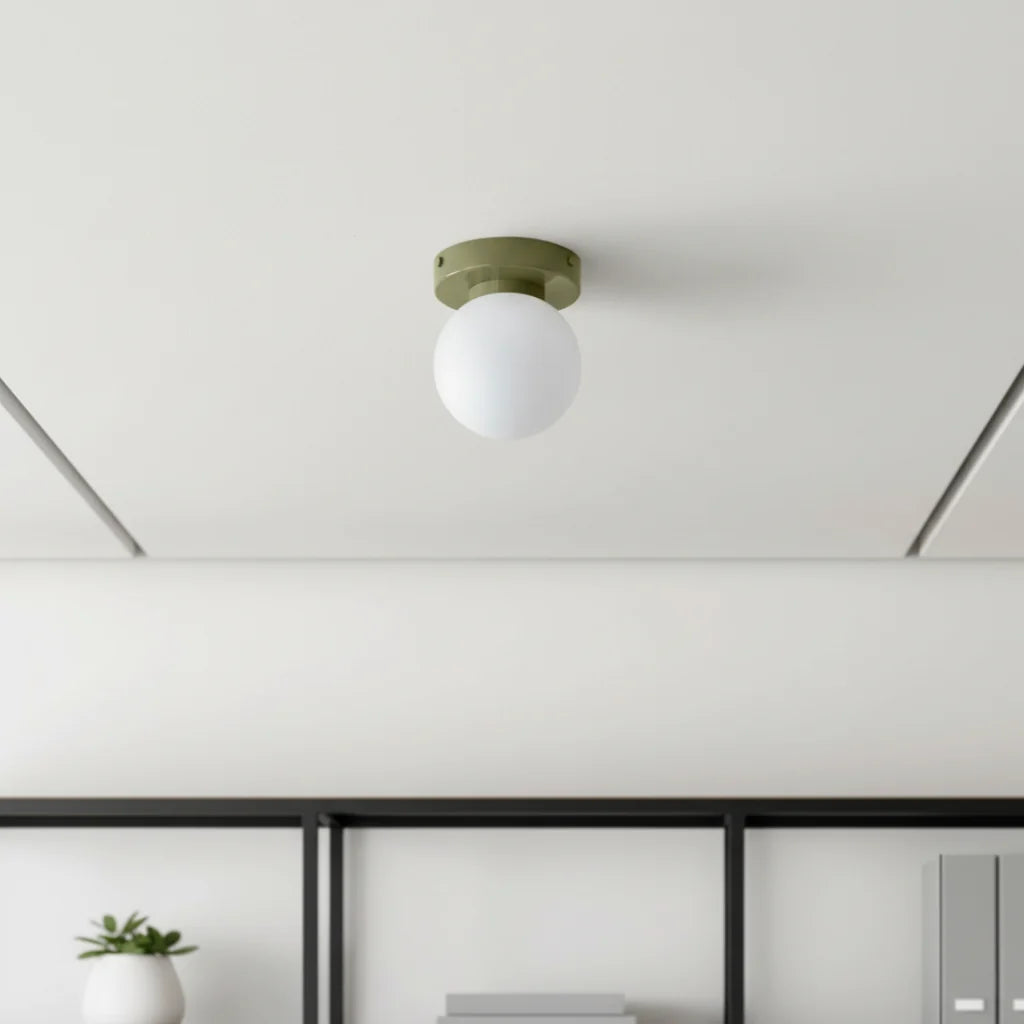 Wall and Ceiling Light Matte Glass Globe Dual Mount