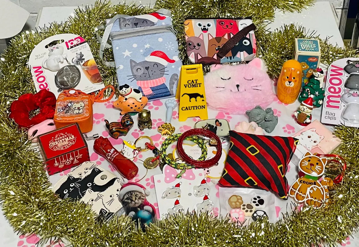 Advent Calendar Cat-Themed 24 Numbered Bags