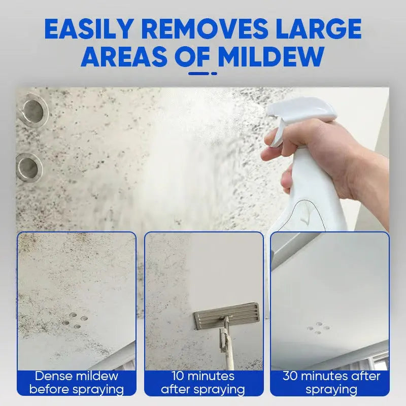 Anti-Mold Spray Fast-Acting Odor-Neutralizing Formaldehyde-Free