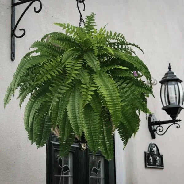 Artificial Boston Fern UV-Resistant Cascading Adjustable Stems
