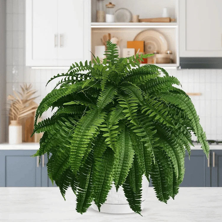 Artificial Ferns UV-Resistant Water-Resistant Set of 18