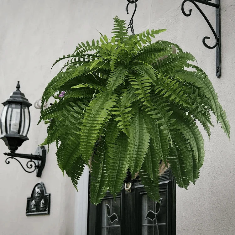 Artificial Ferns UV-Resistant Water-Resistant Set of 18