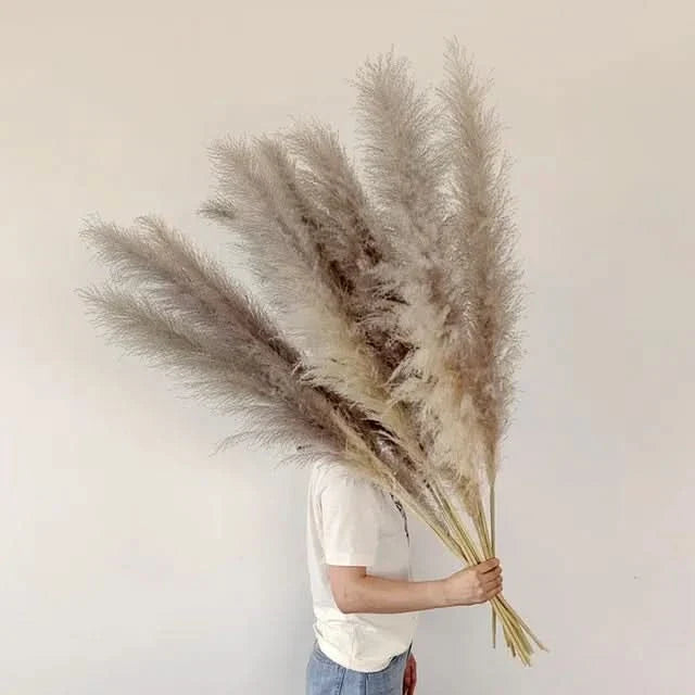 Artificial Pampas Grass Stems 25.6 Inch Low-Maintenance Decor
