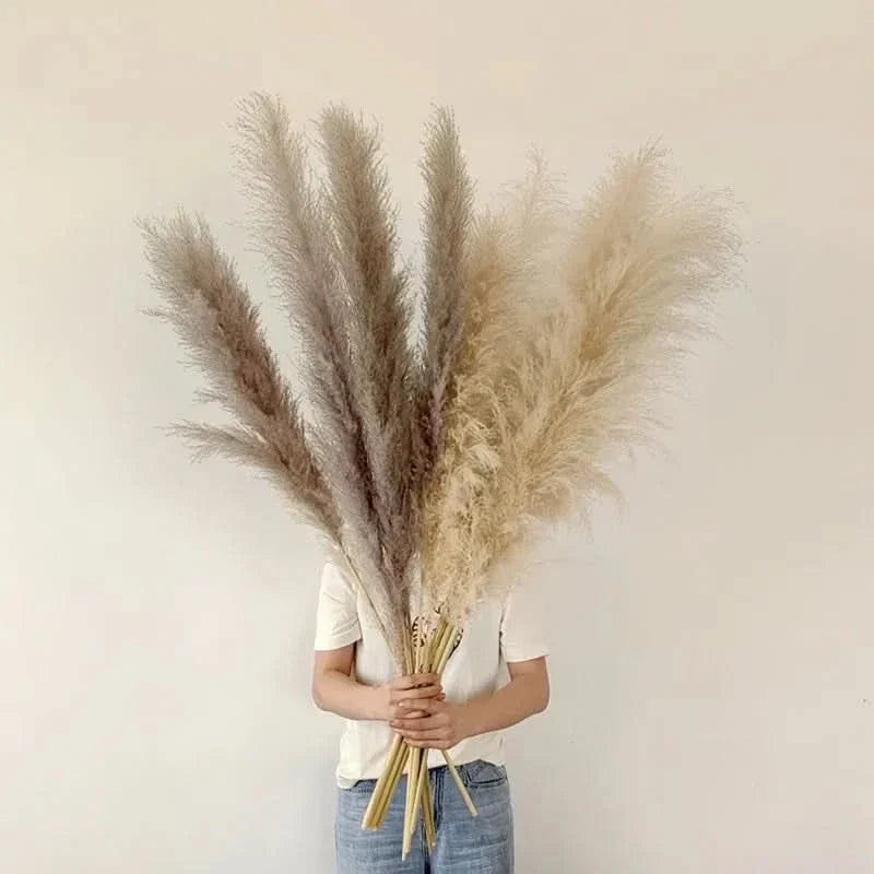 Artificial Pampas Grass Stems 25.6 Inch Low-Maintenance Decor