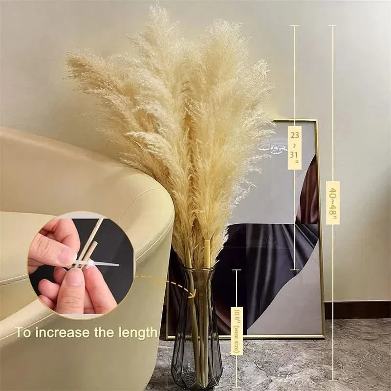 Artificial Pampas Grass Stems 25.6 Inch Low-Maintenance Decor