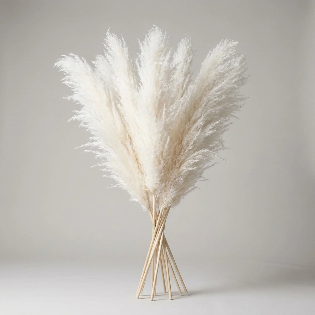 Artificial Pampas Grass Stems 25.6 Inch Low-Maintenance Decor