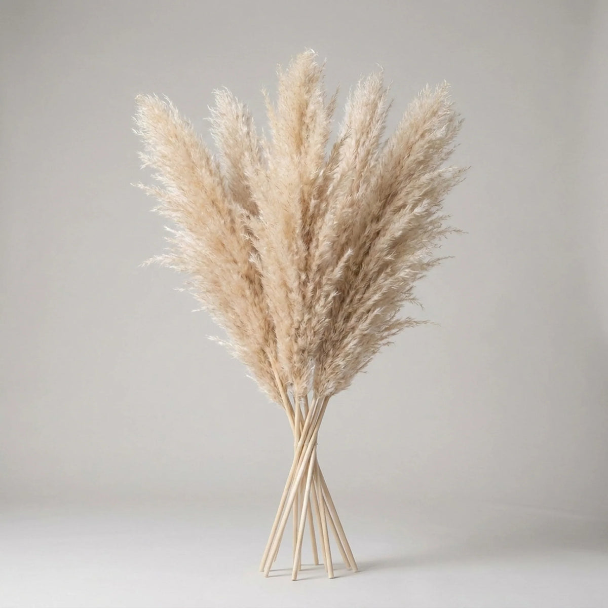 Artificial Pampas Grass Stems 25.6 Inch Low-Maintenance Decor