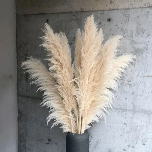 Artificial Pampas Grass Stems 25.6 Inch Low-Maintenance Decor
