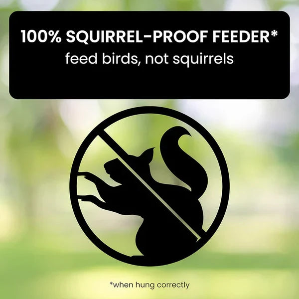 Bird Feeder Squirrel-Deterrent Spinning Perch 5 lb Capacity Weather-Resistant Metal