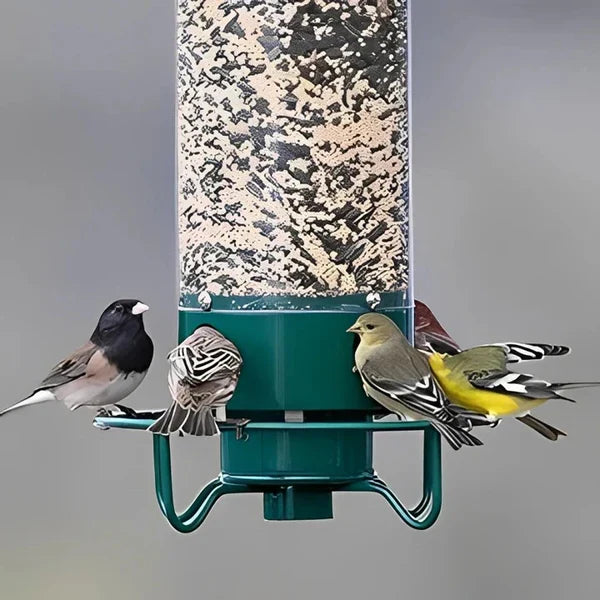 Bird Feeder Squirrel-Deterrent Spinning Perch 5 lb Capacity Weather-Resistant Metal