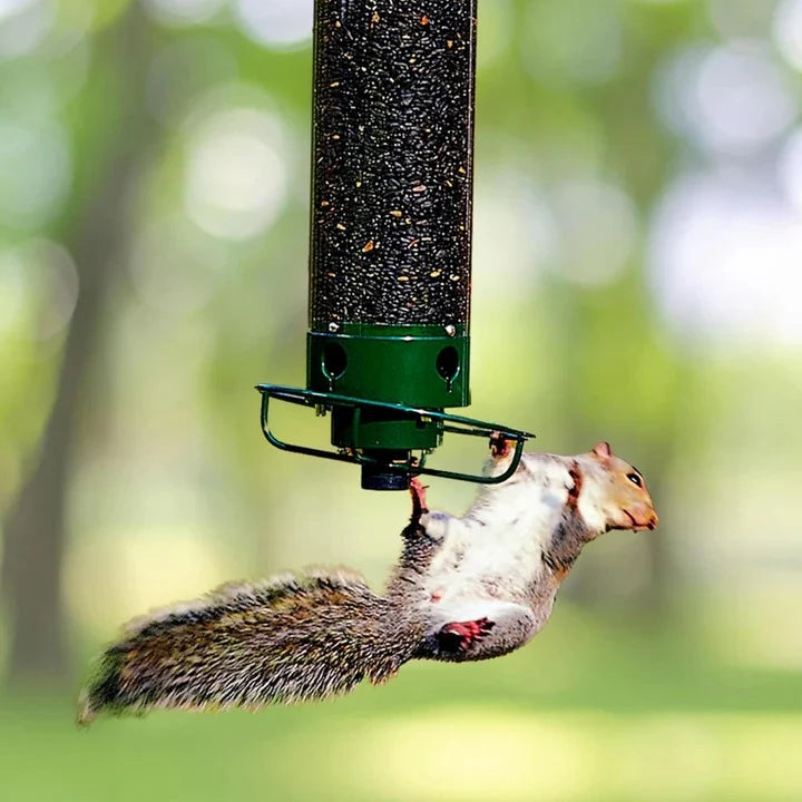Bird Feeder Squirrel-Deterrent Spinning Perch Waterproof