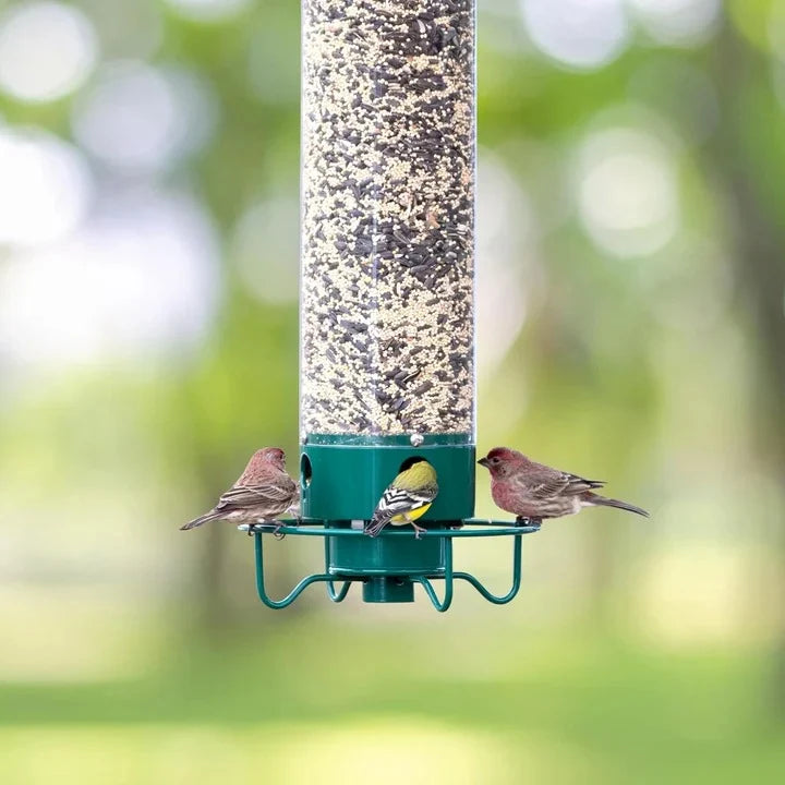 Bird Feeder Squirrel-Deterrent Spinning Perch Waterproof