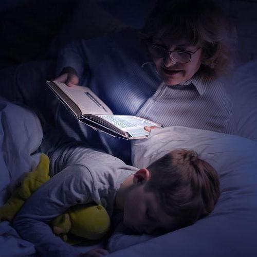 Bookmark Reading Light Foldable USB-C Rechargeable Adjustable Brightness