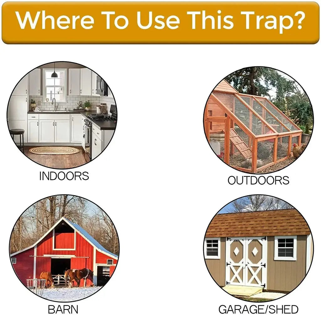 Bucket Mouse Trap Enclosed Catch Area Reusable
