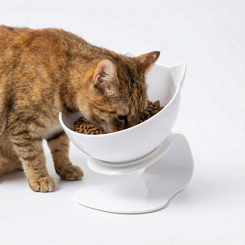 Cat Bowl Elevated Angled Design Non-Slip Base Separable Bowls