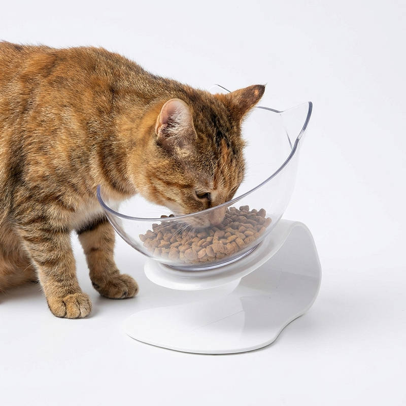 Cat Bowl Elevated Angled Design Non-Slip Base Separable Bowls