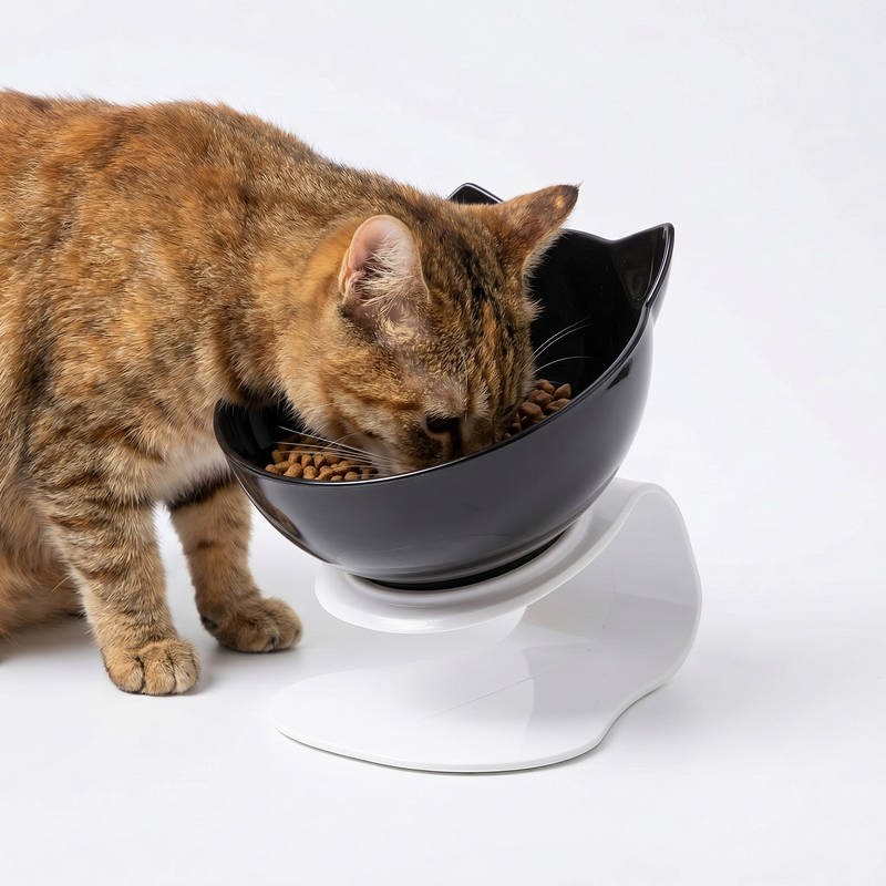 Cat Bowl Elevated Angled Design Non-Slip Base Separable Bowls