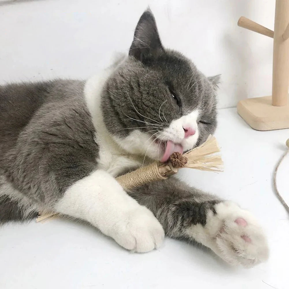 Cat Chew Sticks Silvervine & Catnip Set of 3