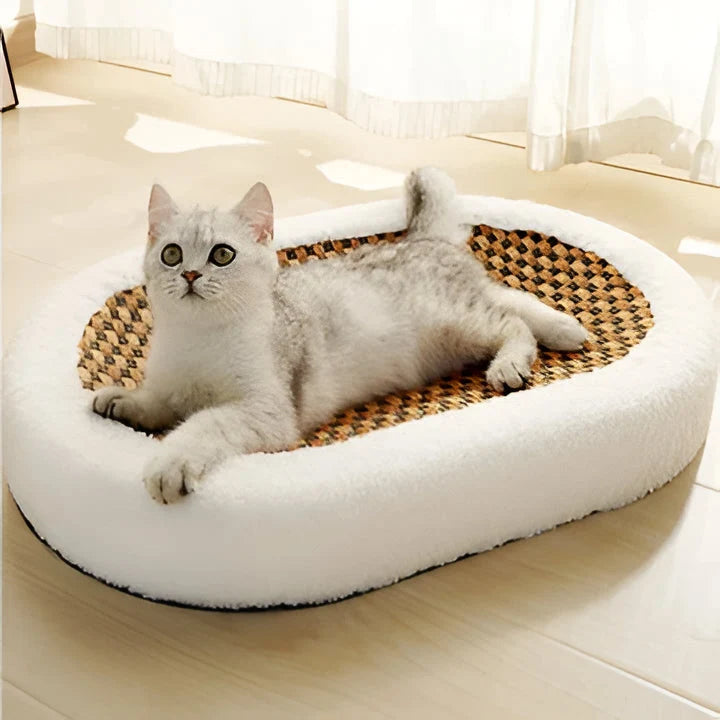 Cat Scratch Lounge Cushioned Bed & Textured Scratching Surface