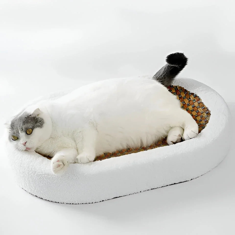 Cat Scratch Lounge Cushioned Bed & Textured Scratching Surface