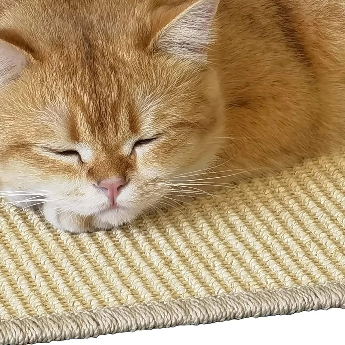 Cat Scratching Mat Natural Sisal Floor & Wall Mounting