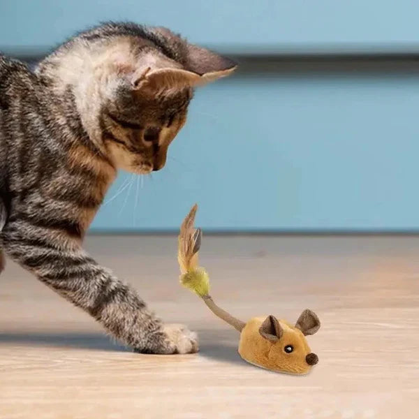 Cat Toy Motion-Activated USB Rechargeable Auto-Off