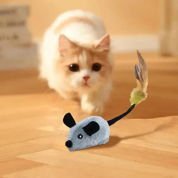 Cat Toy Motion-Activated USB Rechargeable Auto-Off