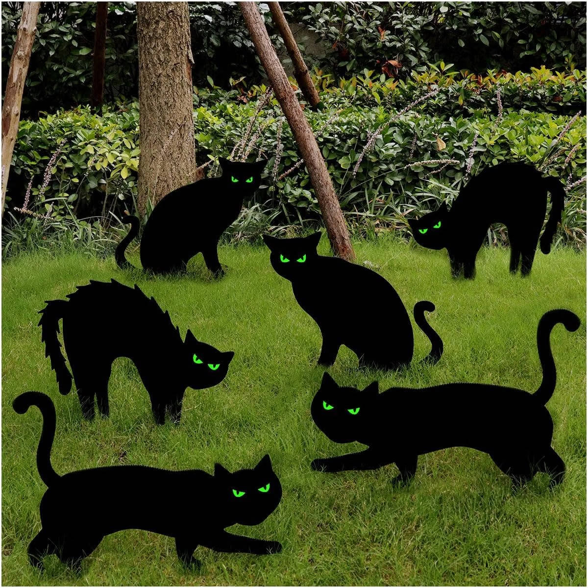 Cat Yard Signs Glow-in-the-Dark Eyes Waterproof Set of 6