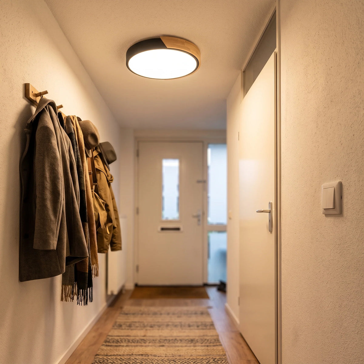 Ceiling Light Integrated LED Diffused Light Round Design
