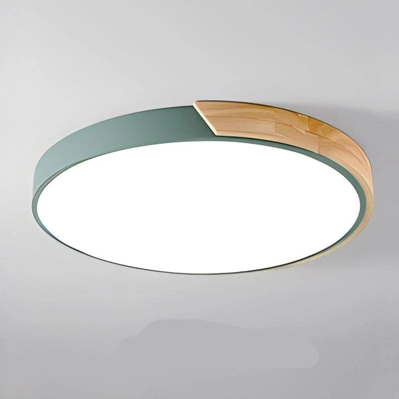 Ceiling Light Integrated LED Diffused Light Round Design