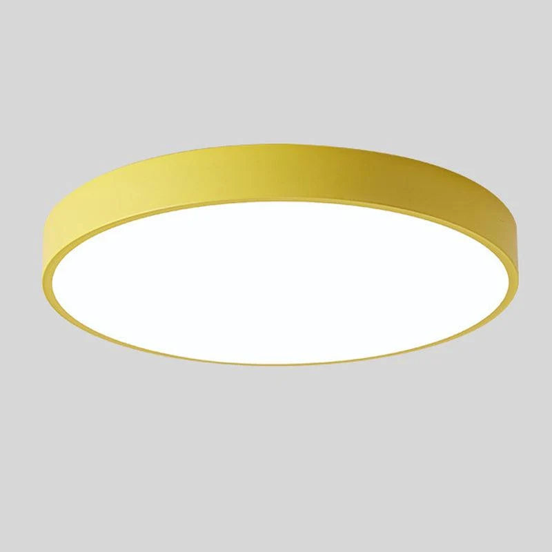 Ceiling Light Integrated LED Diffused Light Round Design