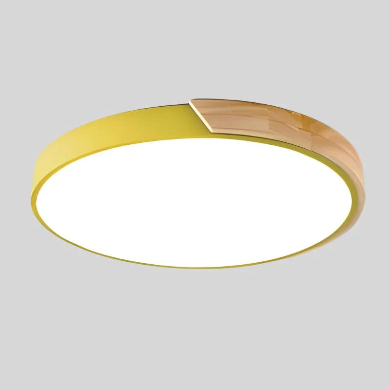 Ceiling Light Integrated LED Diffused Low-Glare