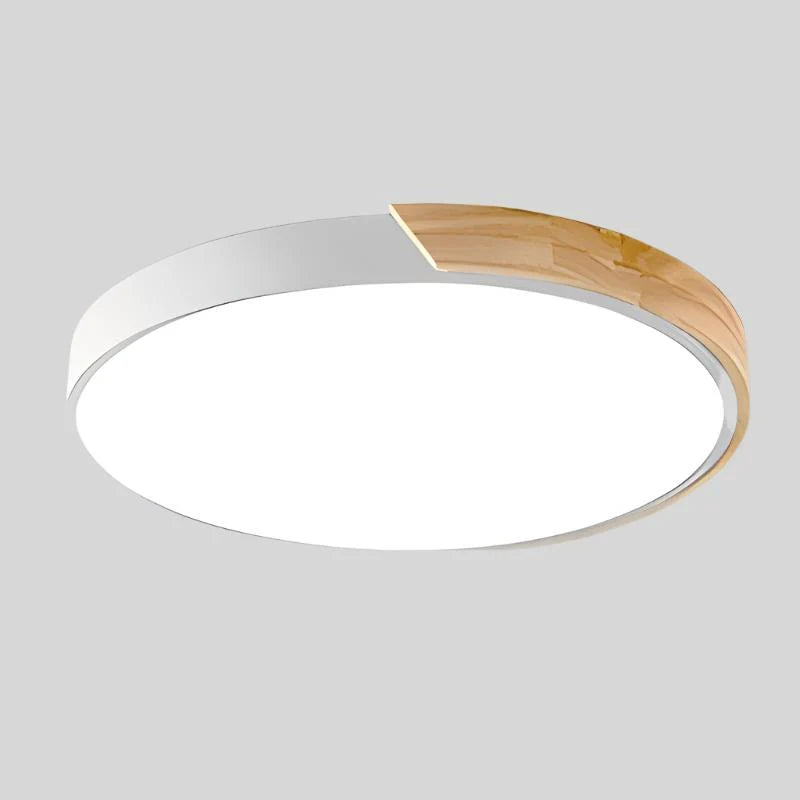 Ceiling Light Integrated LED Diffused Low-Glare