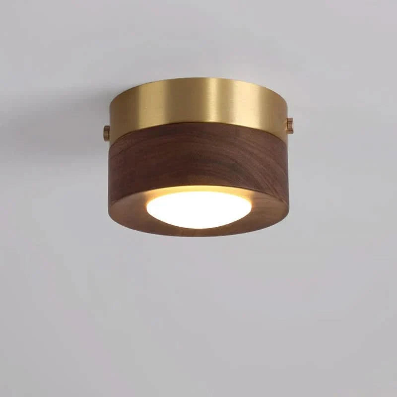 Ceiling Light Natural Wood Integrated LED Three-Color Lighting