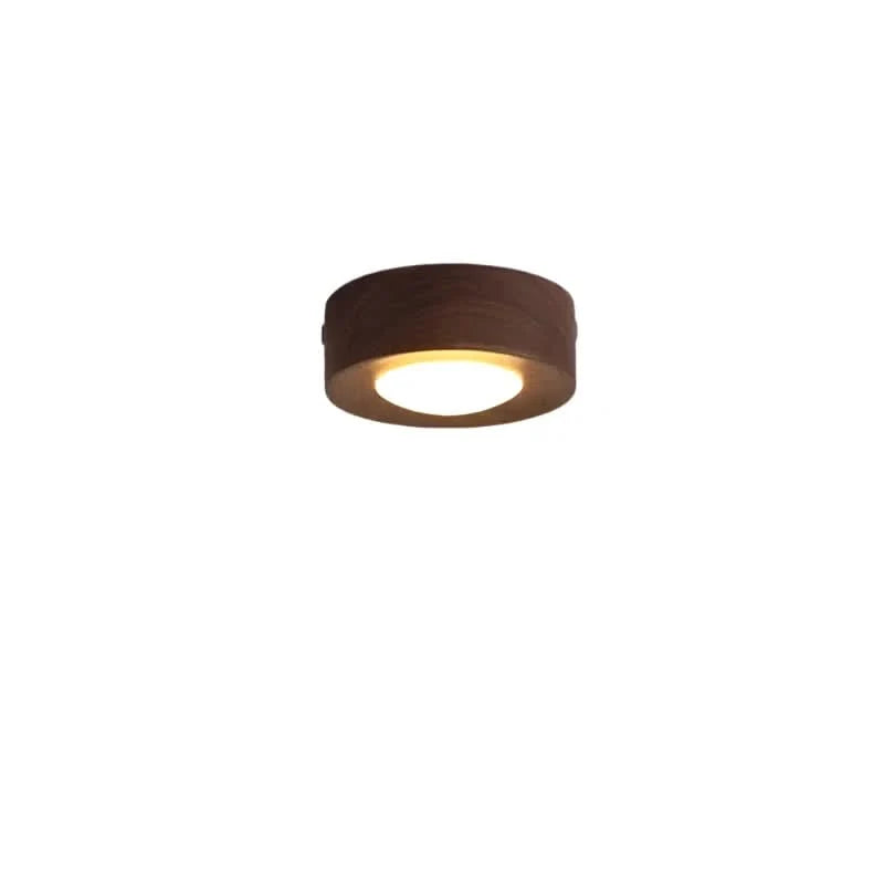 Ceiling Light Natural Wood Integrated LED Three-Color Lighting