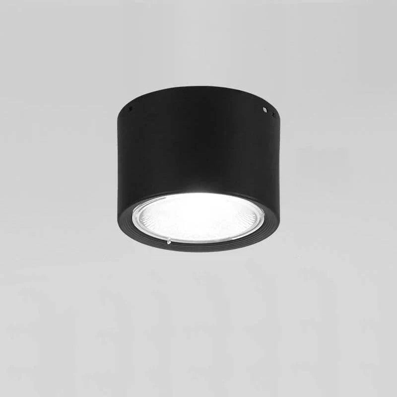 Ceiling Spotlight Adjustable LED Flush-Mount