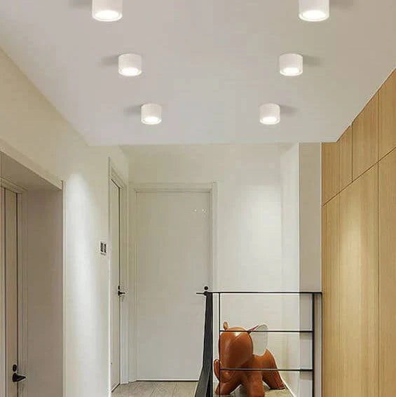 Ceiling Spotlight Adjustable LED Flush-Mount