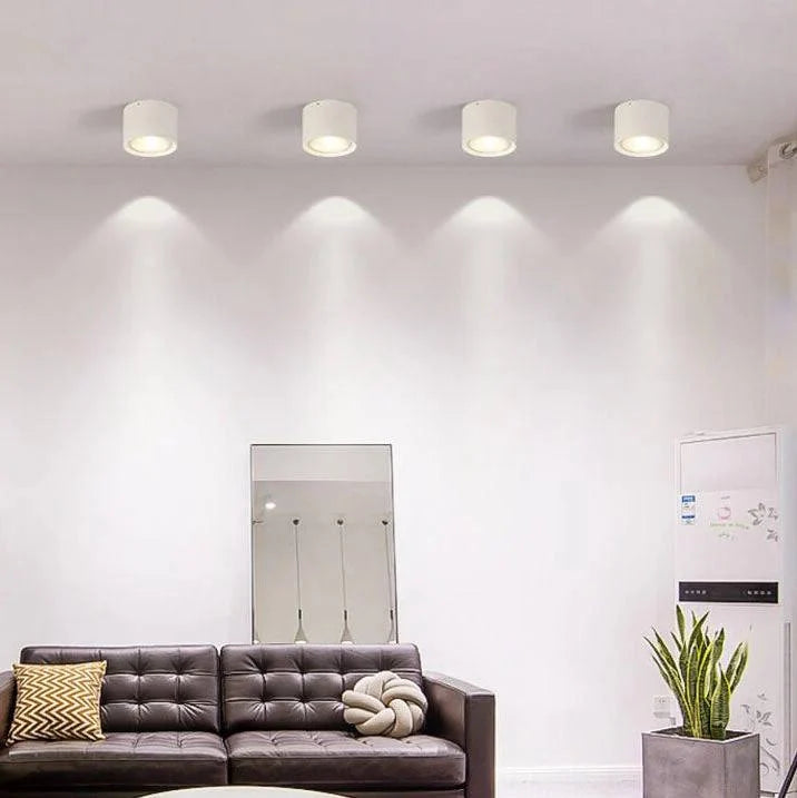 Ceiling Spotlight Adjustable LED Flush-Mount