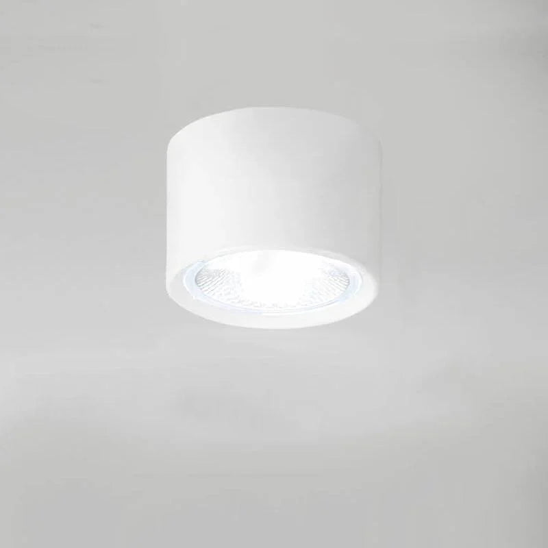 Ceiling Spotlight Adjustable LED Flush-Mount