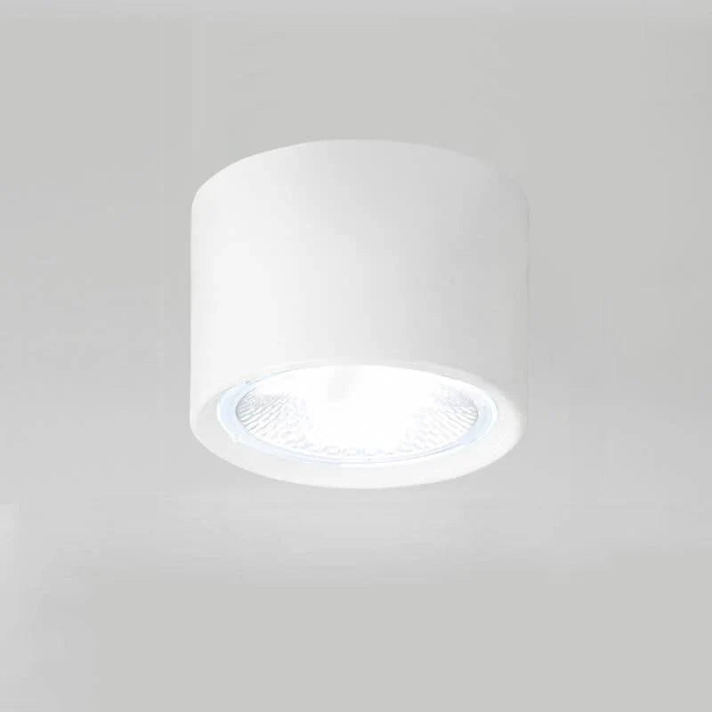 Ceiling Spotlight Adjustable LED Flush-Mount